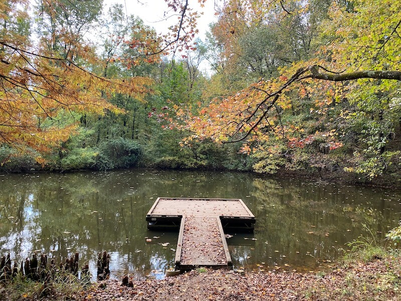 Escape to East Swamp Wildlife Refuge: A Nature Lover's Paradise