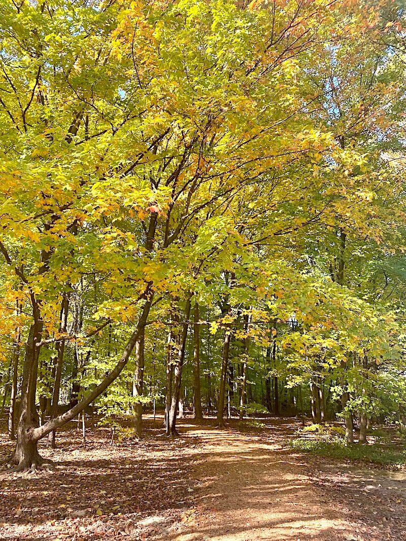 Claire Gempp Davidson Memorial Nature Walk - thatawaydad.com